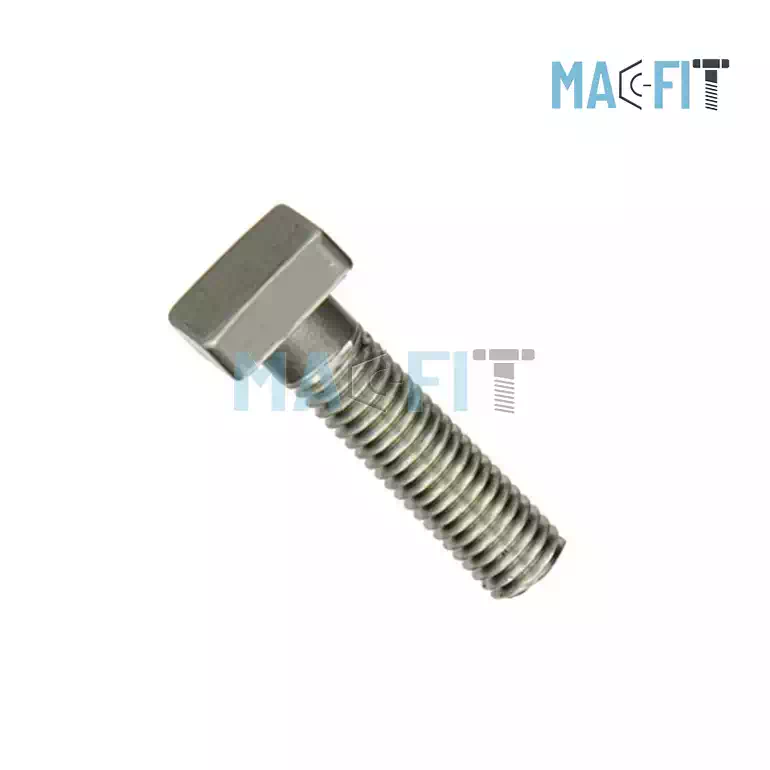 Stainless Steel Square Head Bolt