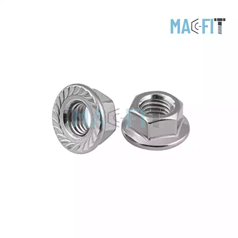 Stainless Steel Hex Flange Nut