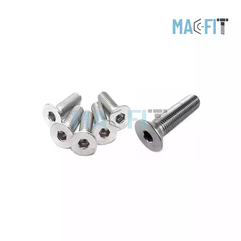 Stainless Steel Countersunk Bolt