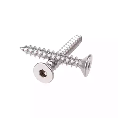 Custom Allen Head Screw